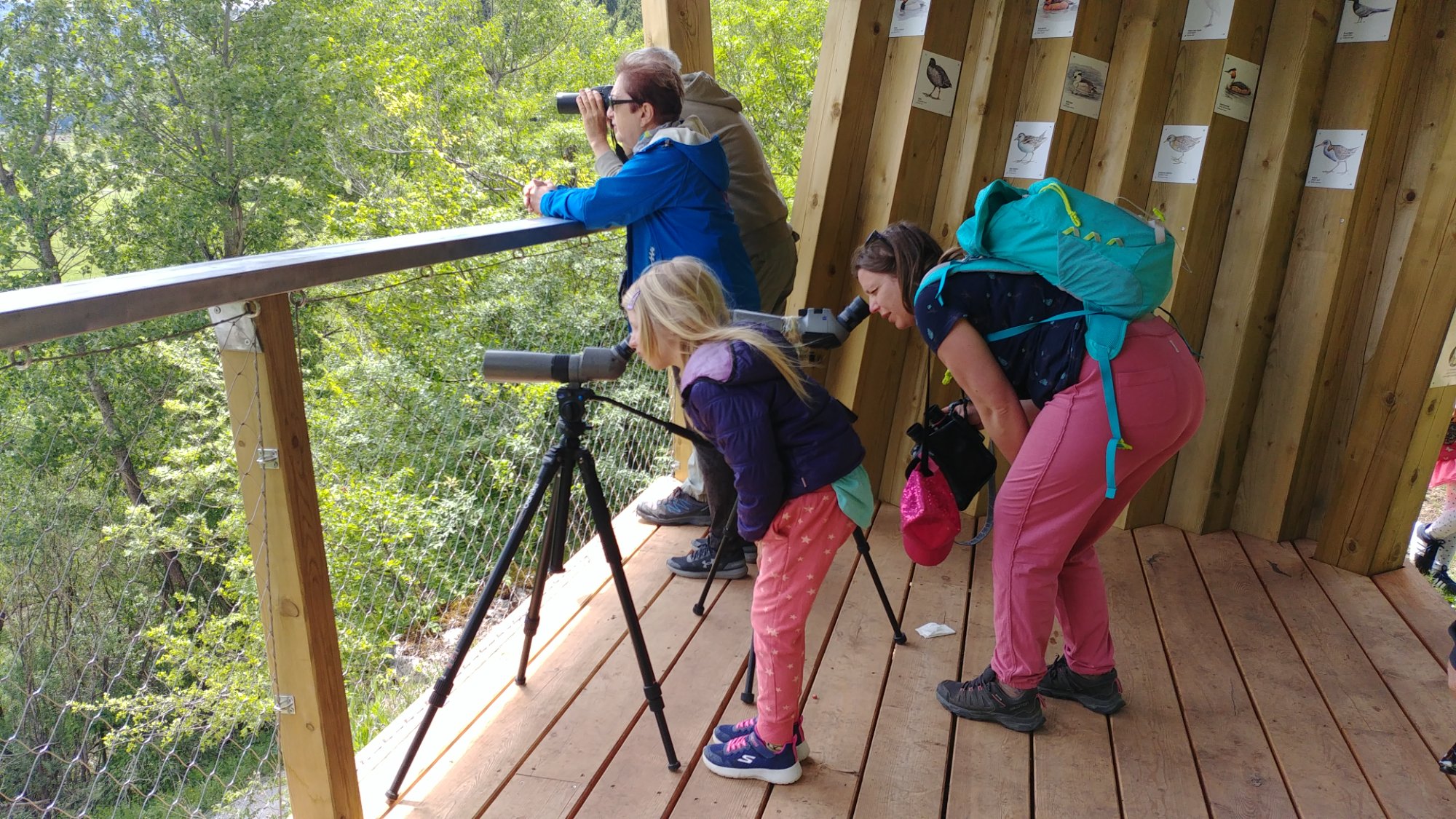 Birdwatching tower